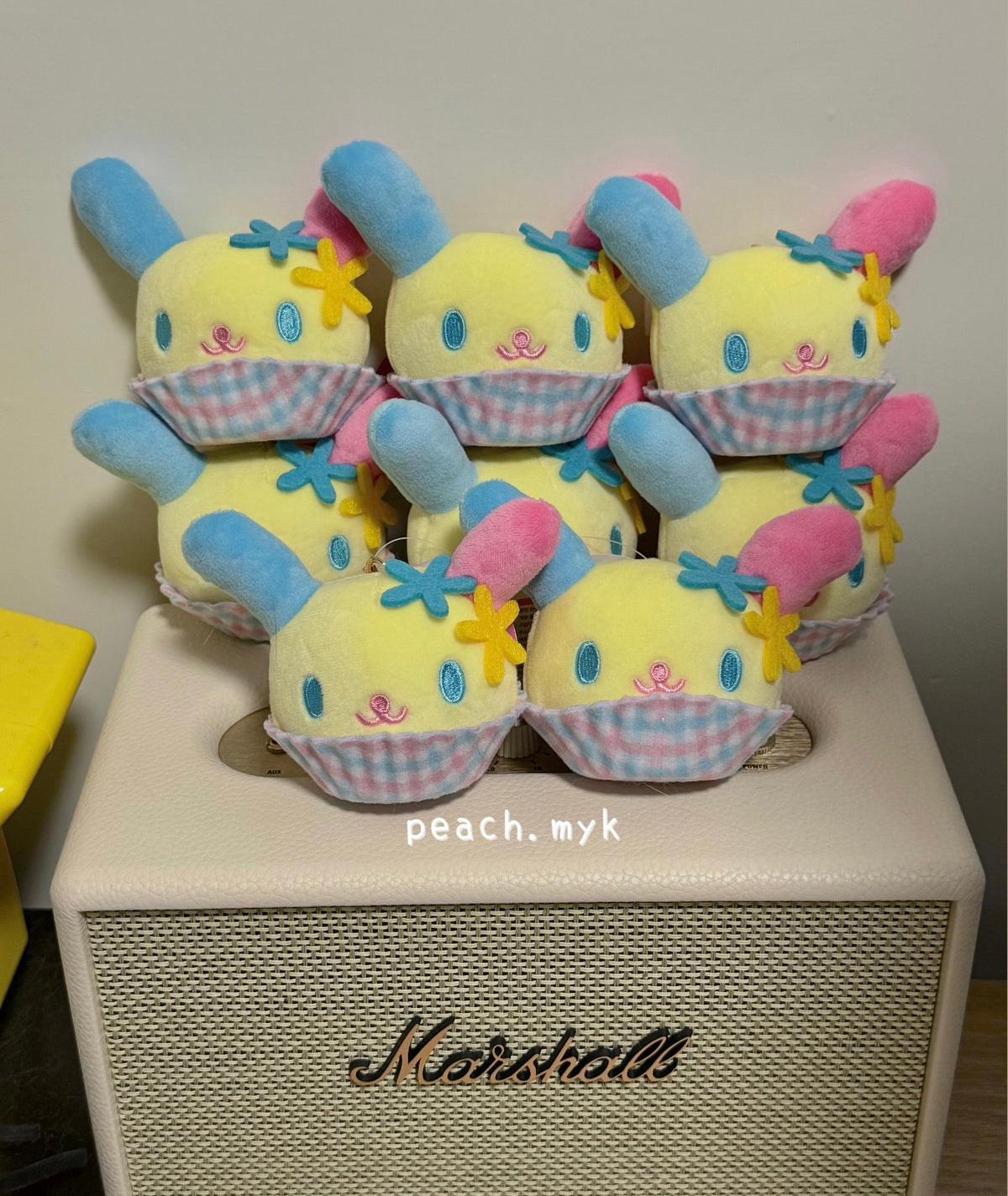 🇰🇷 USAHANA CUPCAKE KEYRING