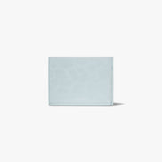 SOTY FOLD COIN WALLET (LEOPARD MINT)