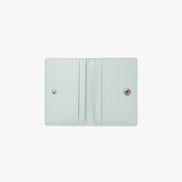 CRINKLE SOFT CARD CASE (PALE MINT)