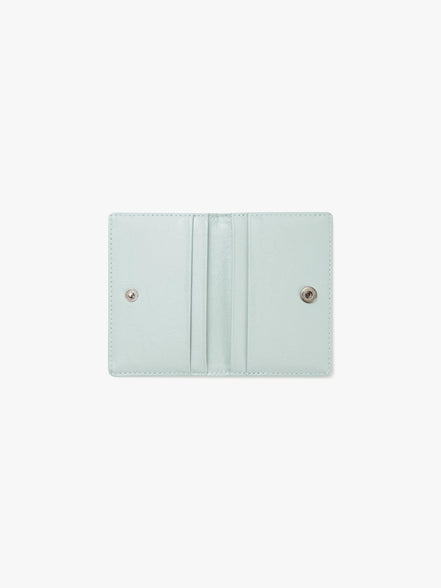 CRINKLE SOFT CARD CASE (PALE MINT)