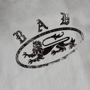Bad Blood - crack print t-shirt (White)