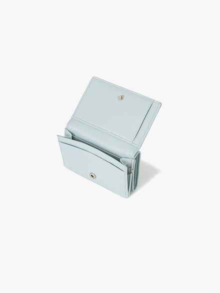 ANY WALLET (PALE MINT)