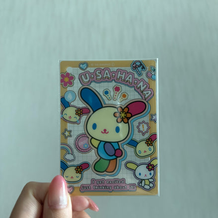 (現貨) sanrio clear card keychain