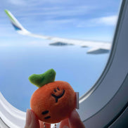 Second Morning - BABY SEMO KEYRING｜紅蘿蔔