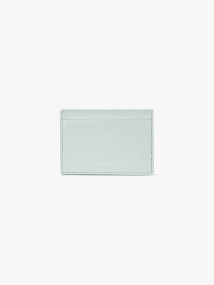 CRINKLE TRIANGLE ACCORDION POCKET (PALE MINT)