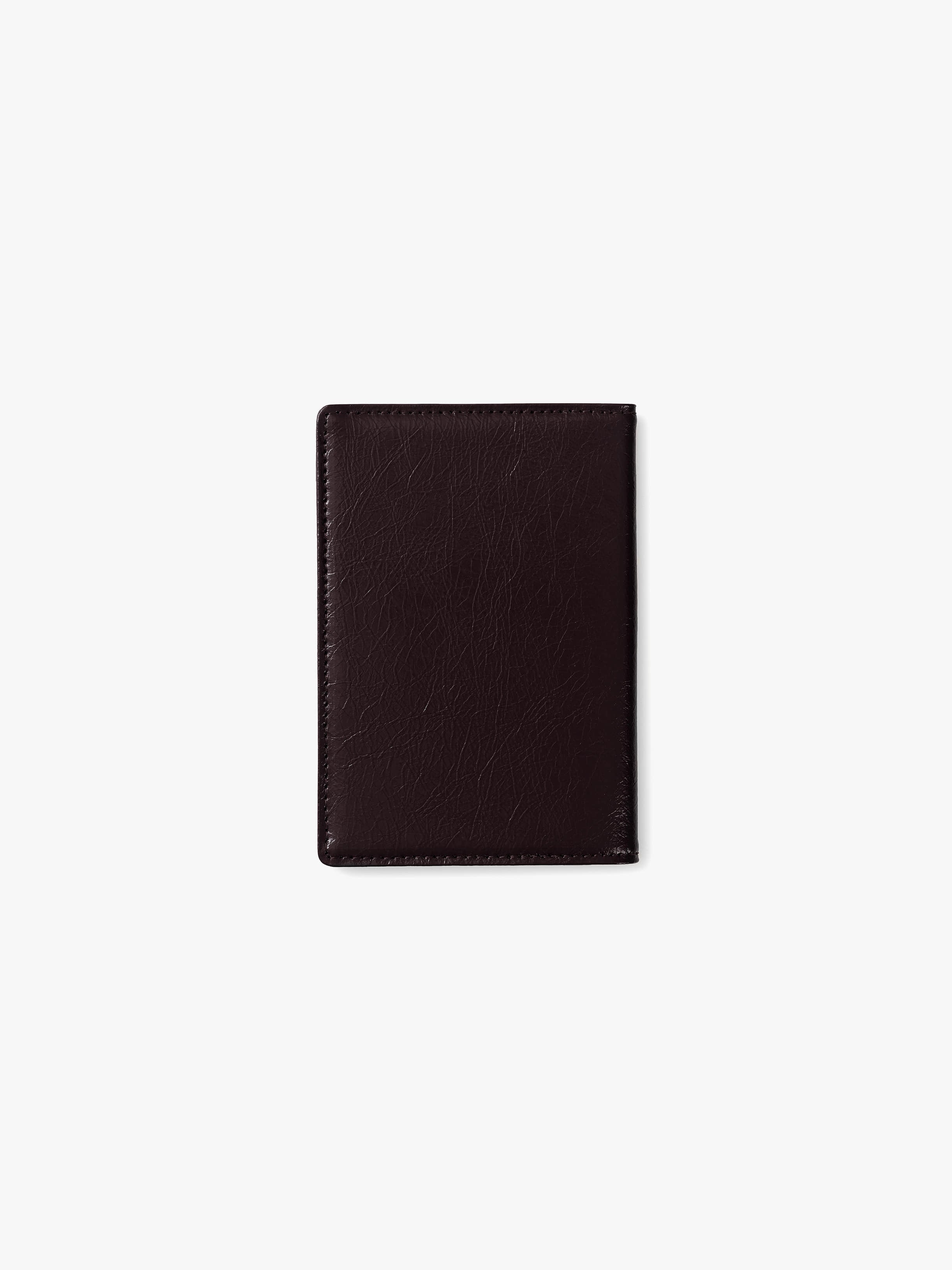 CRINKLE PASSPORT CASE (ESPRESSO)