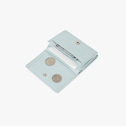 ANY WALLET (PALE MINT)