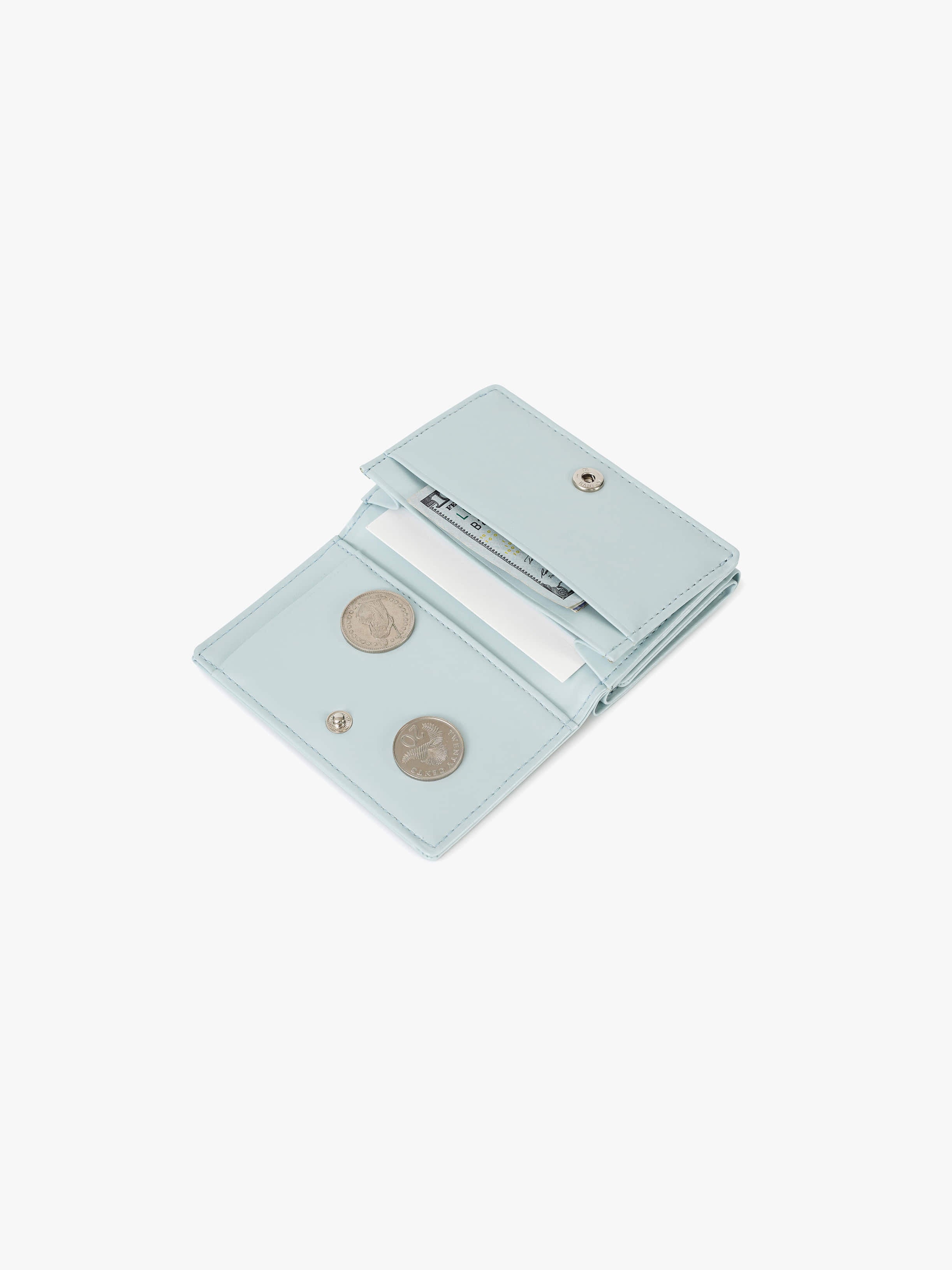 ANY WALLET (PALE MINT)