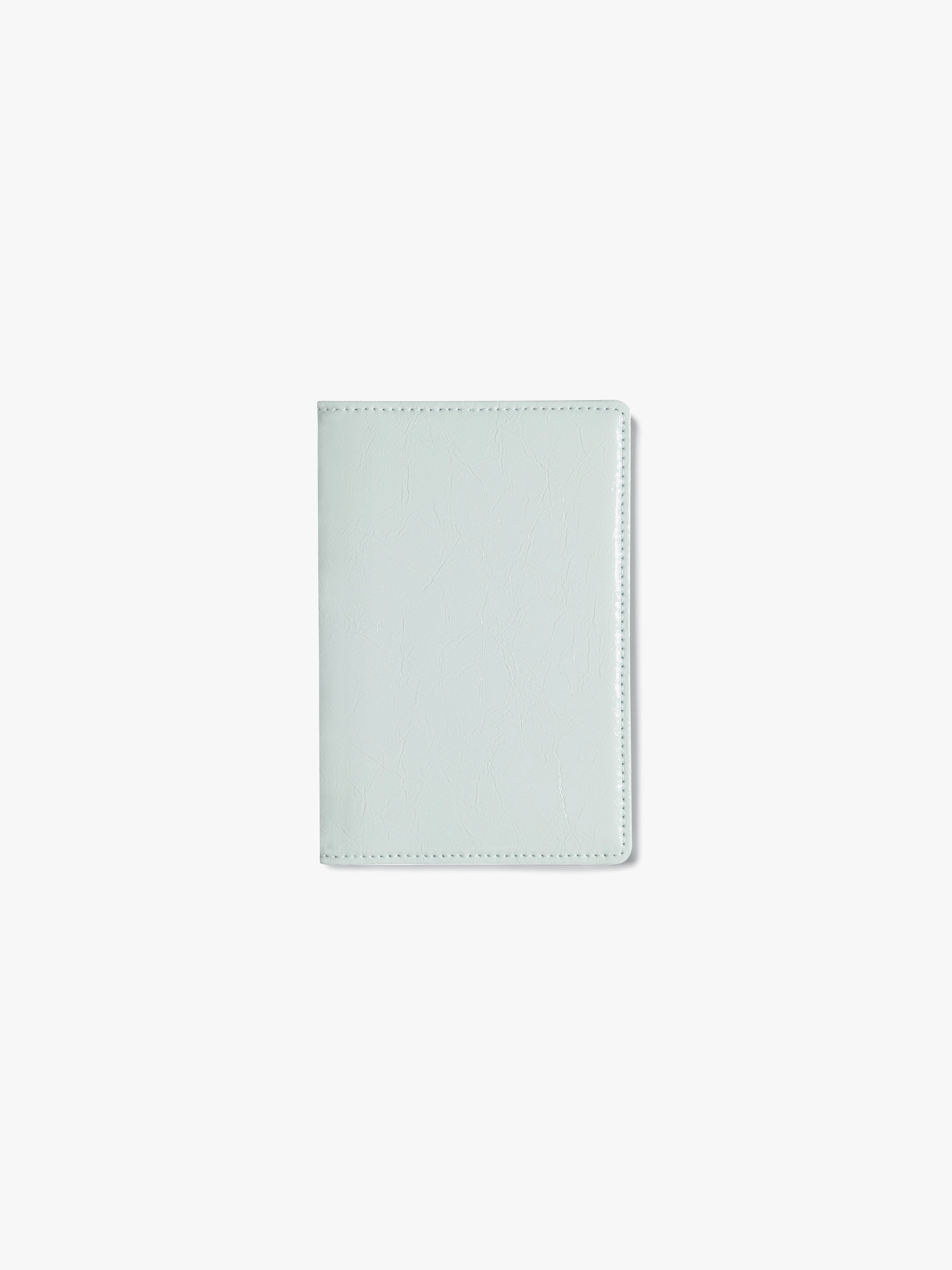 CRINKLE PASSPORT CASE (PALE MINT)