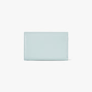ANY WALLET (PALE MINT)