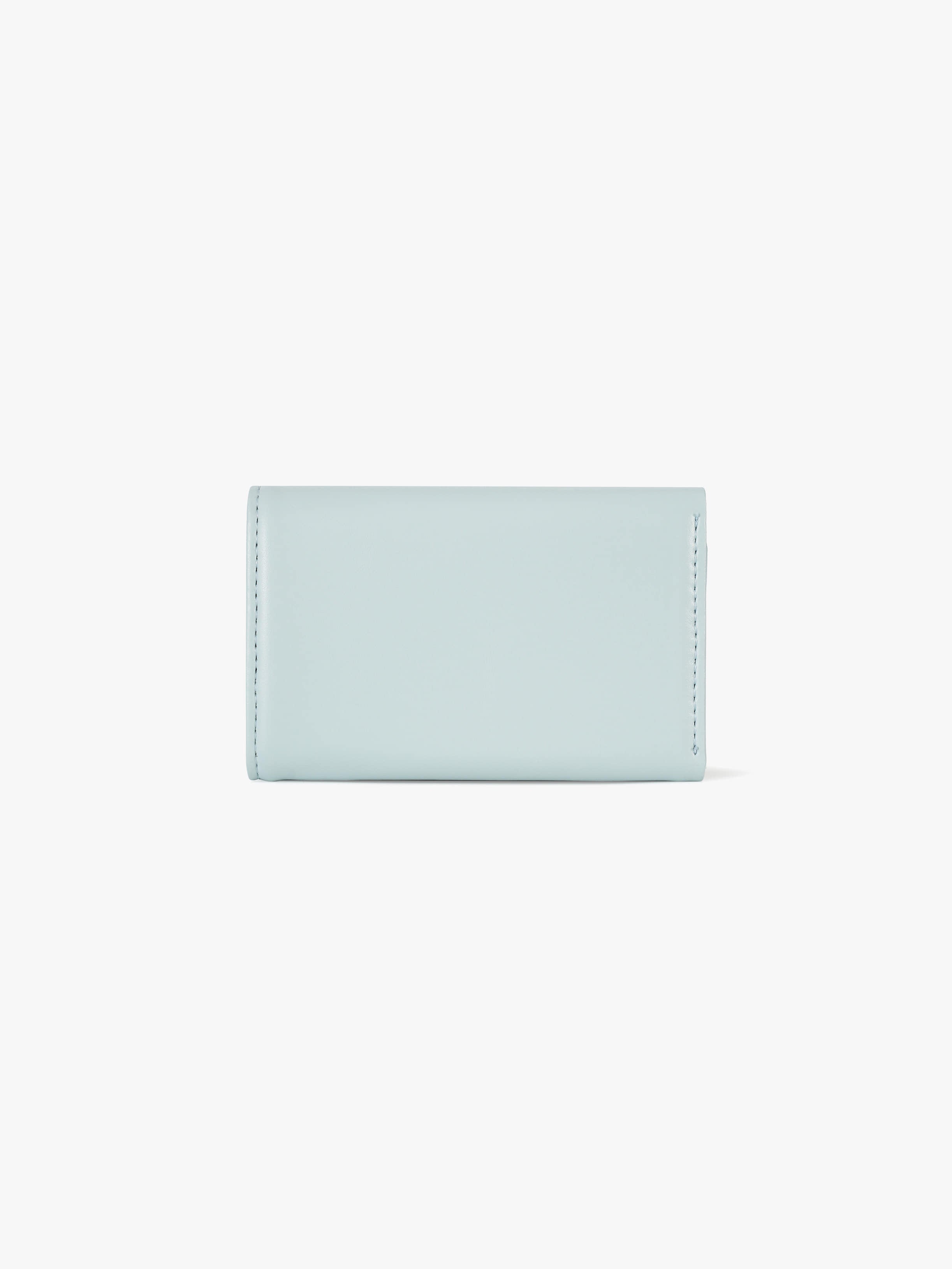 ANY WALLET (PALE MINT)