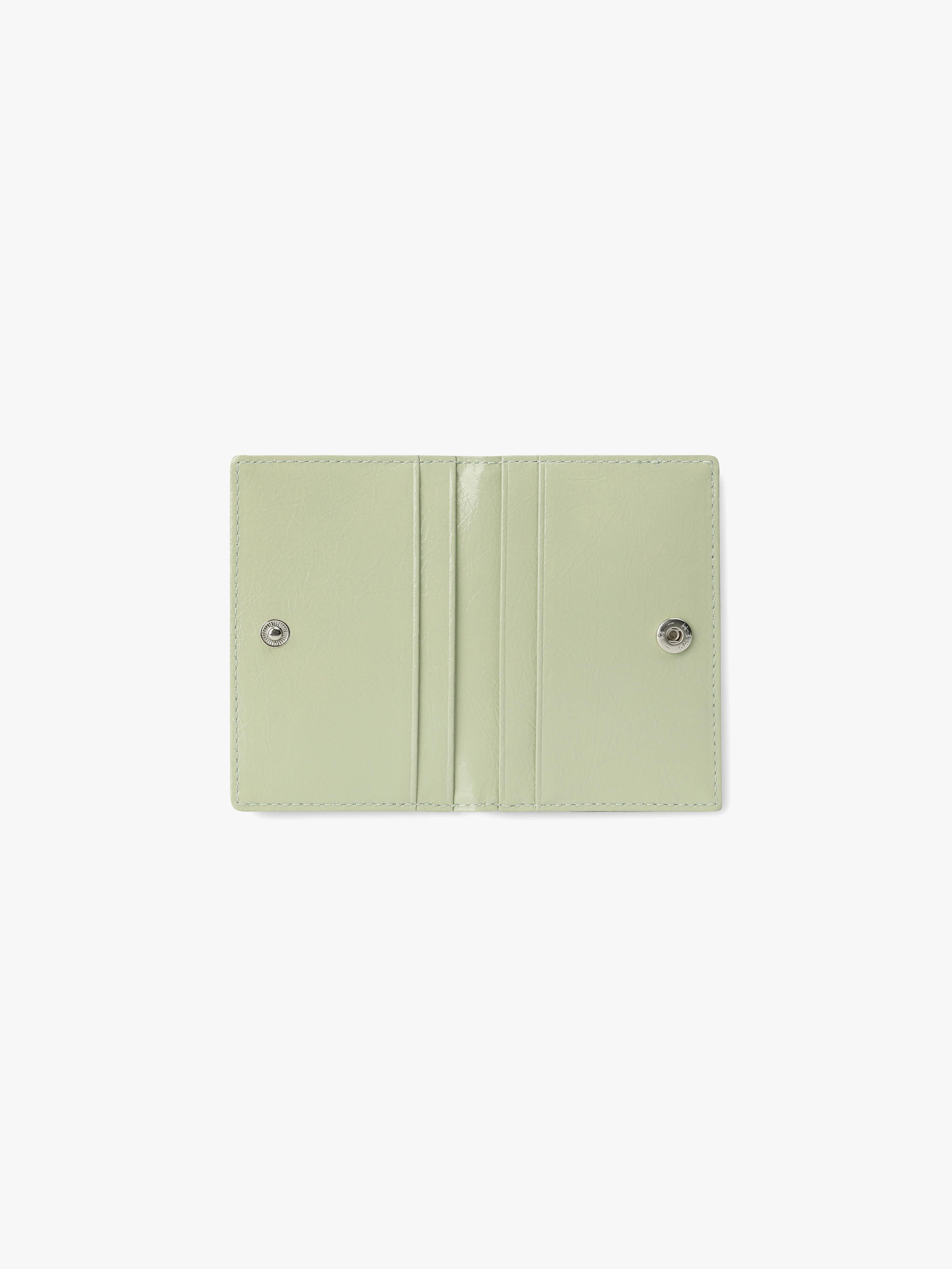 CRINKLE SOFT CARD CASE (PISTACHIO)