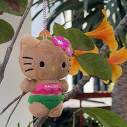 amuse 黑皮 hello kitty掛飾