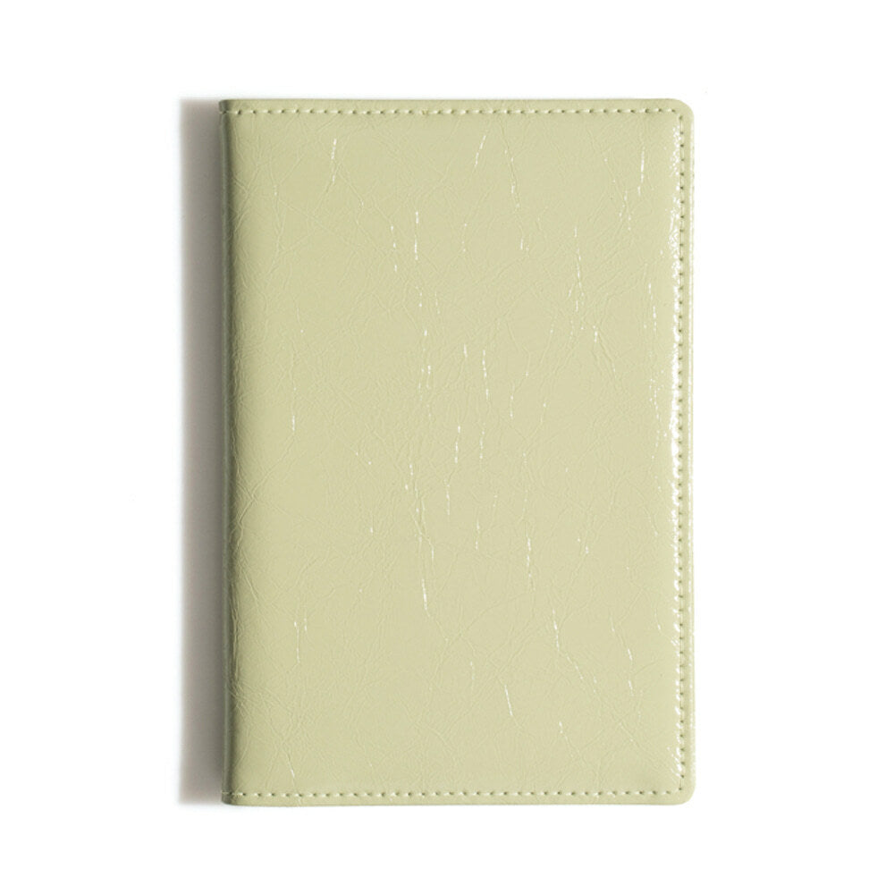 CRINKLE PASSPORT CASE (SAGE MINT)