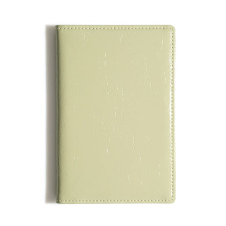 CRINKLE PASSPORT CASE (SAGE MINT)