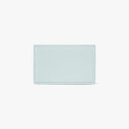 ANY WALLET (PALE MINT)