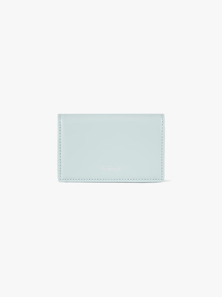 ANY WALLET (PALE MINT)