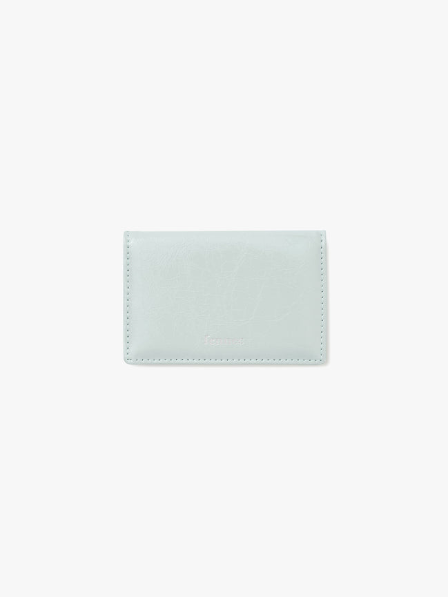 CRINKLE SOFT CARD CASE (PALE MINT)