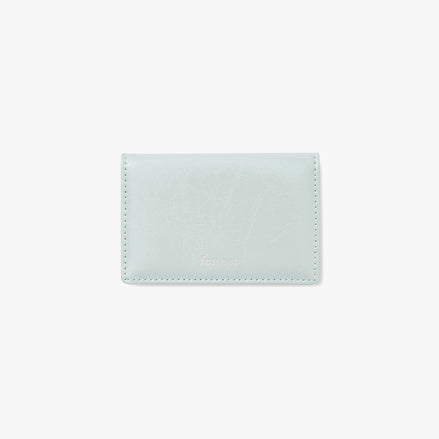 CRINKLE SOFT CARD CASE (PALE MINT)