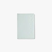 CRINKLE PASSPORT CASE (PALE MINT)