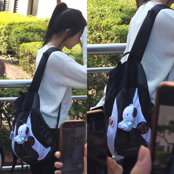(MINJI同款) MULTI LOGO BACKPACK (GRAY)