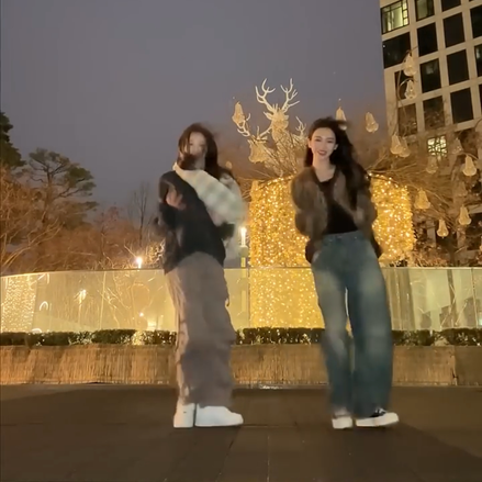 [KARINA同款] KR KARINA DENIM PANTS (2 COLORS)