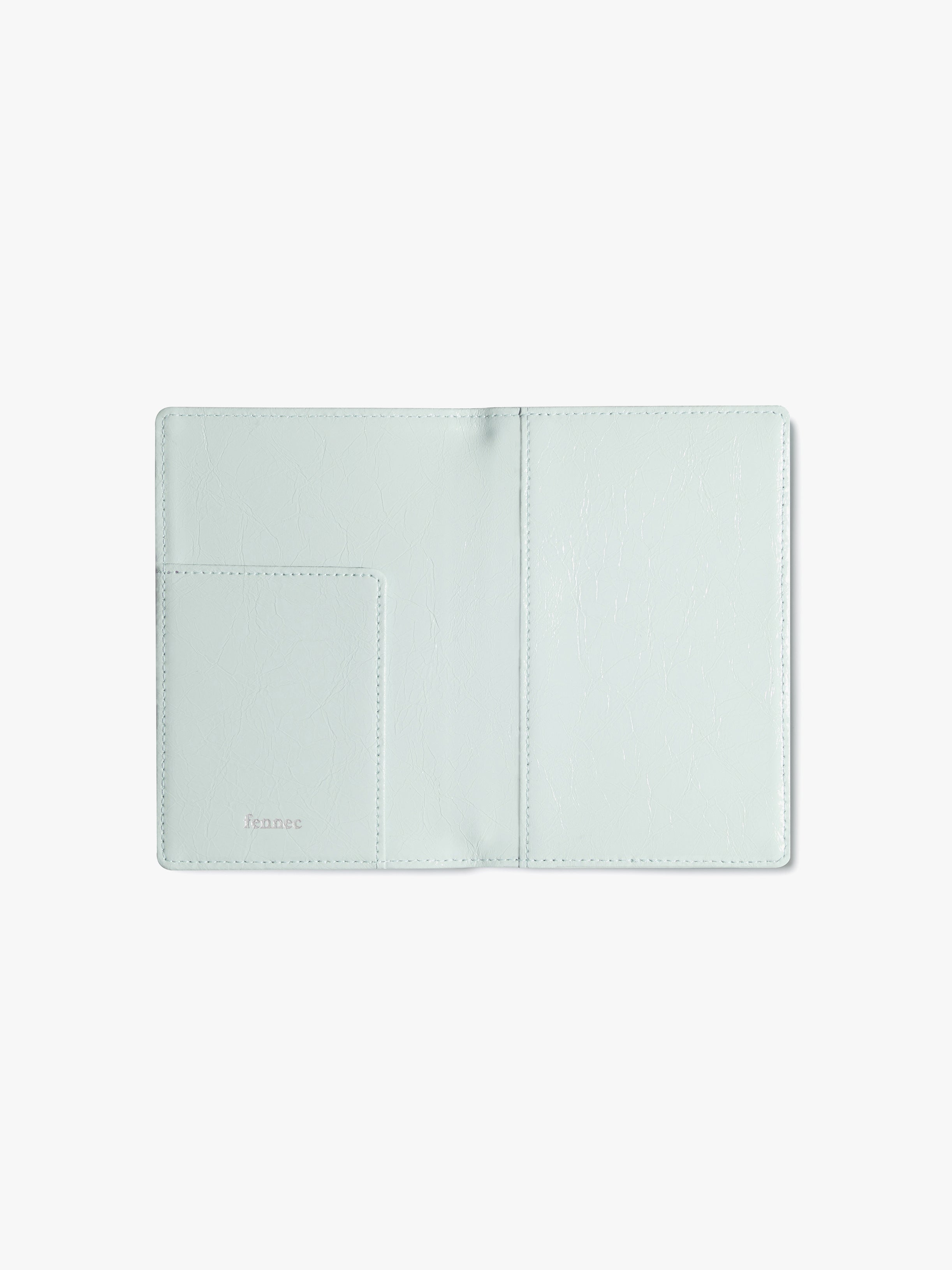 CRINKLE PASSPORT CASE (PALE MINT)