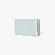 ANY WALLET (PALE MINT)