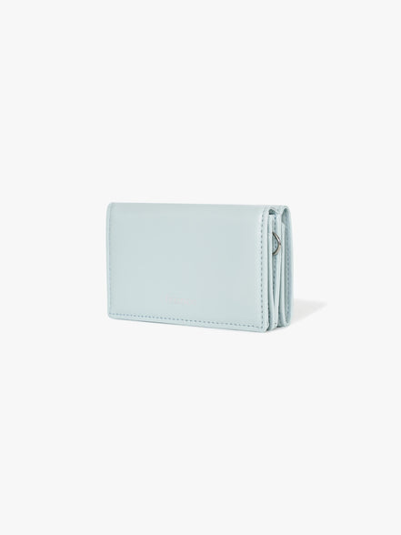 ANY WALLET (PALE MINT)