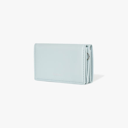ANY WALLET (PALE MINT)